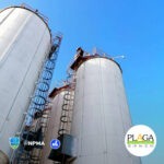 plagas silos control de plagas culiacan